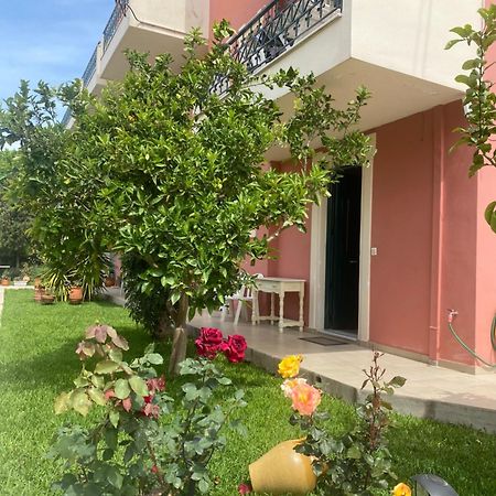 Lividio Apartment Lefkada City Luaran gambar