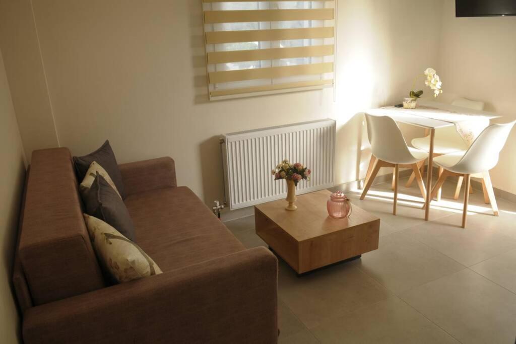 Lividio Apartment Lefkada City Luaran gambar